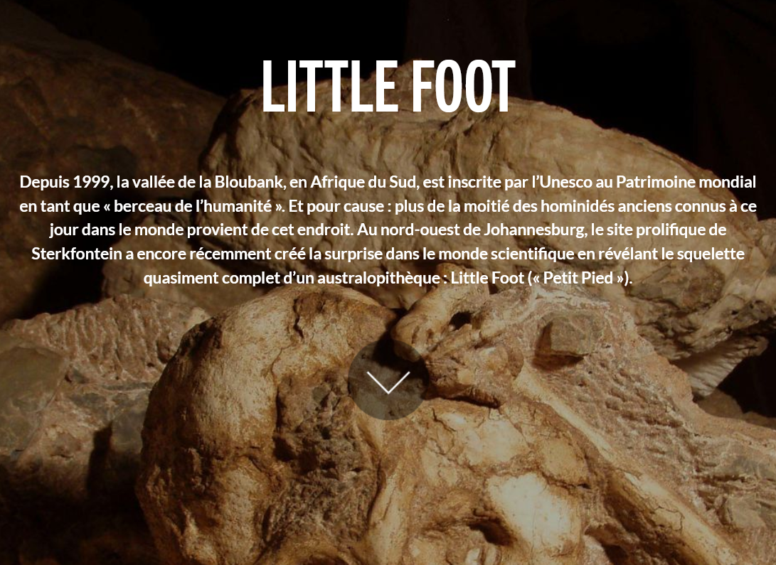 Multimédia : Little Foot