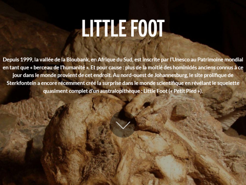 Multimédia : Little Foot